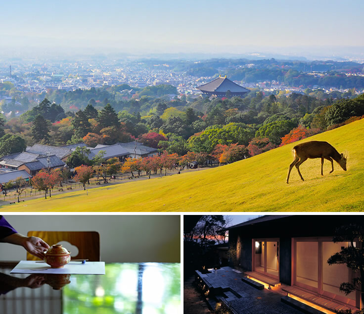 若草山も、湯の香も、旬も。奈良に満ちて