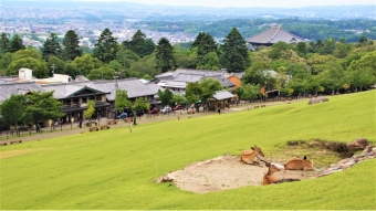 奈良市内観光施設　開館状況
