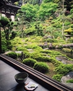 静寂の庭園とお抹茶を愉しむ時間